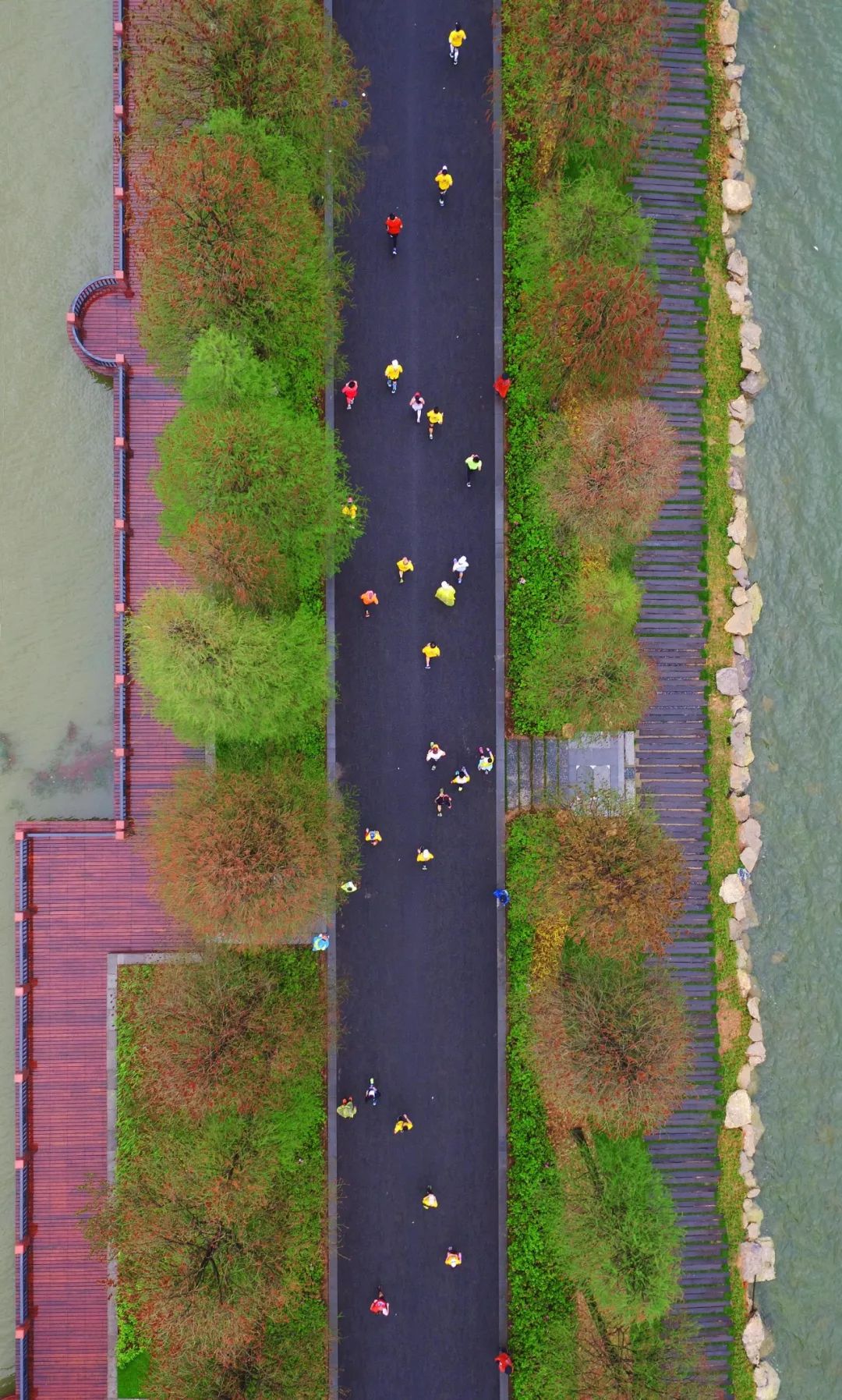 为什么武汉人喜欢广东人,为什么武汉人喜欢四川人