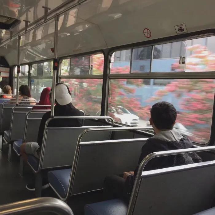 陶白白12月星座运势金牛,12星座年底前的桃花运势