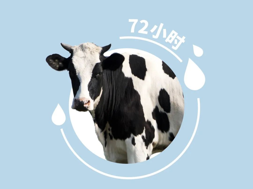 添赐力免疫增强膏可以做什么,添赐力免疫增强膏可以补钙吗