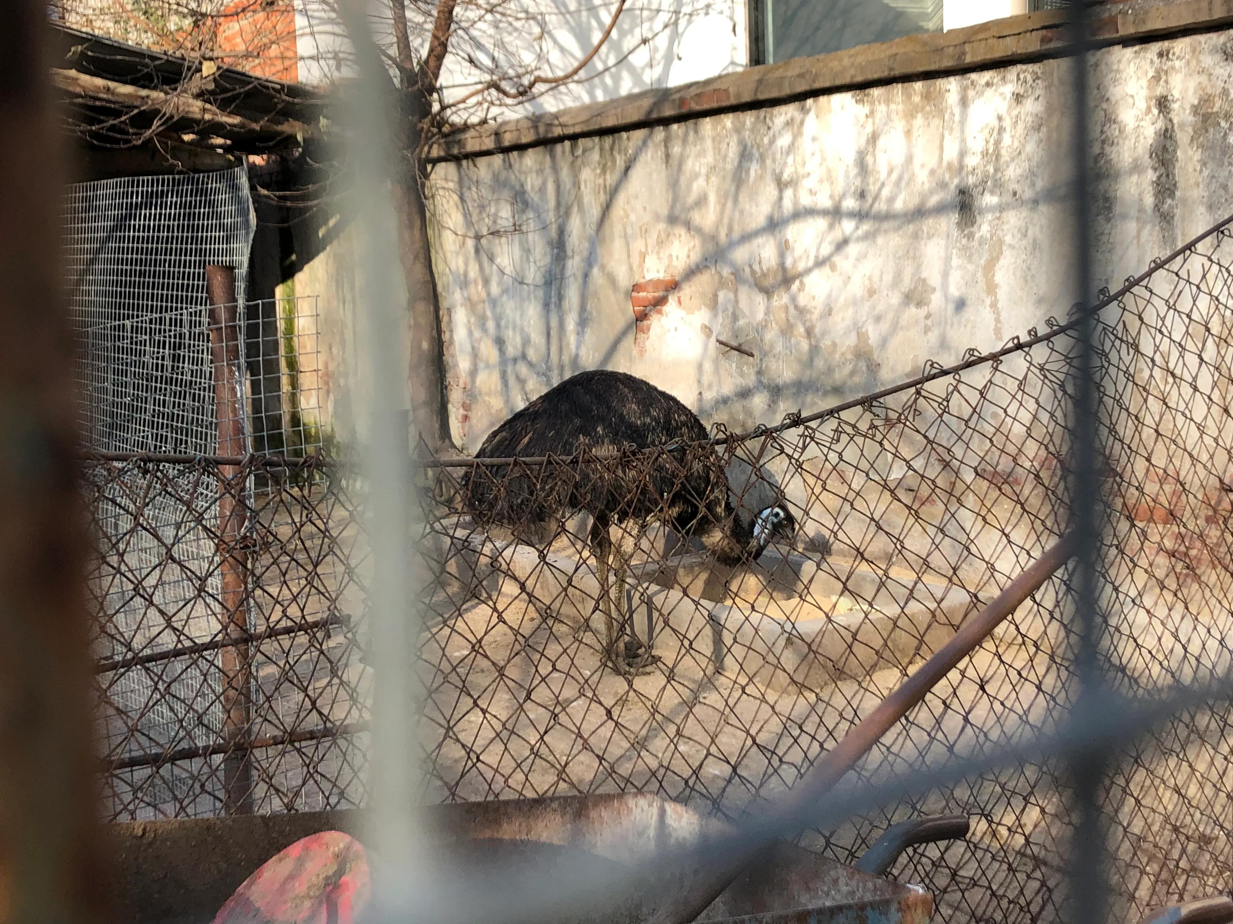 平顶山河滨公园旅游攻略,平顶山森林公园游记