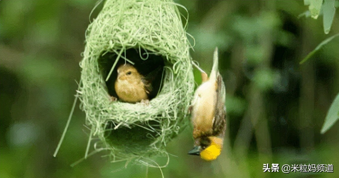 年度惊喜电影,8部科普必看的动画片