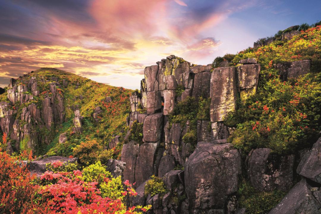 免费森林公园门票优惠活动,森林康养旅游胜地有哪些