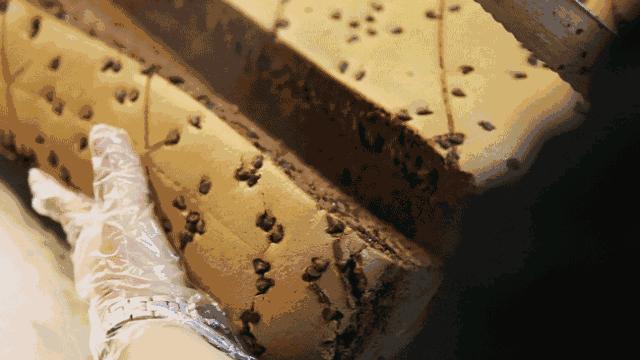 「台拾记」给个机会,只要一口你就忘不了!(内有粉丝福利)