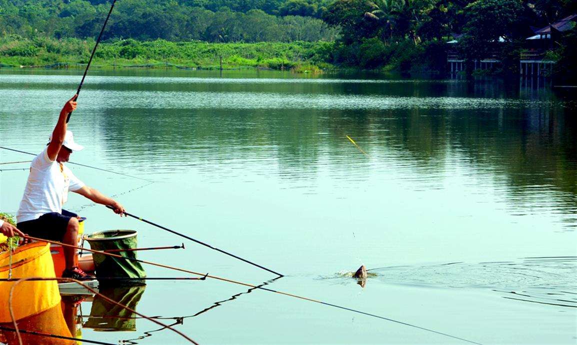 鱼竿的两种拉力详解,理解后遛鱼能力提升,爆竿概率直线下降