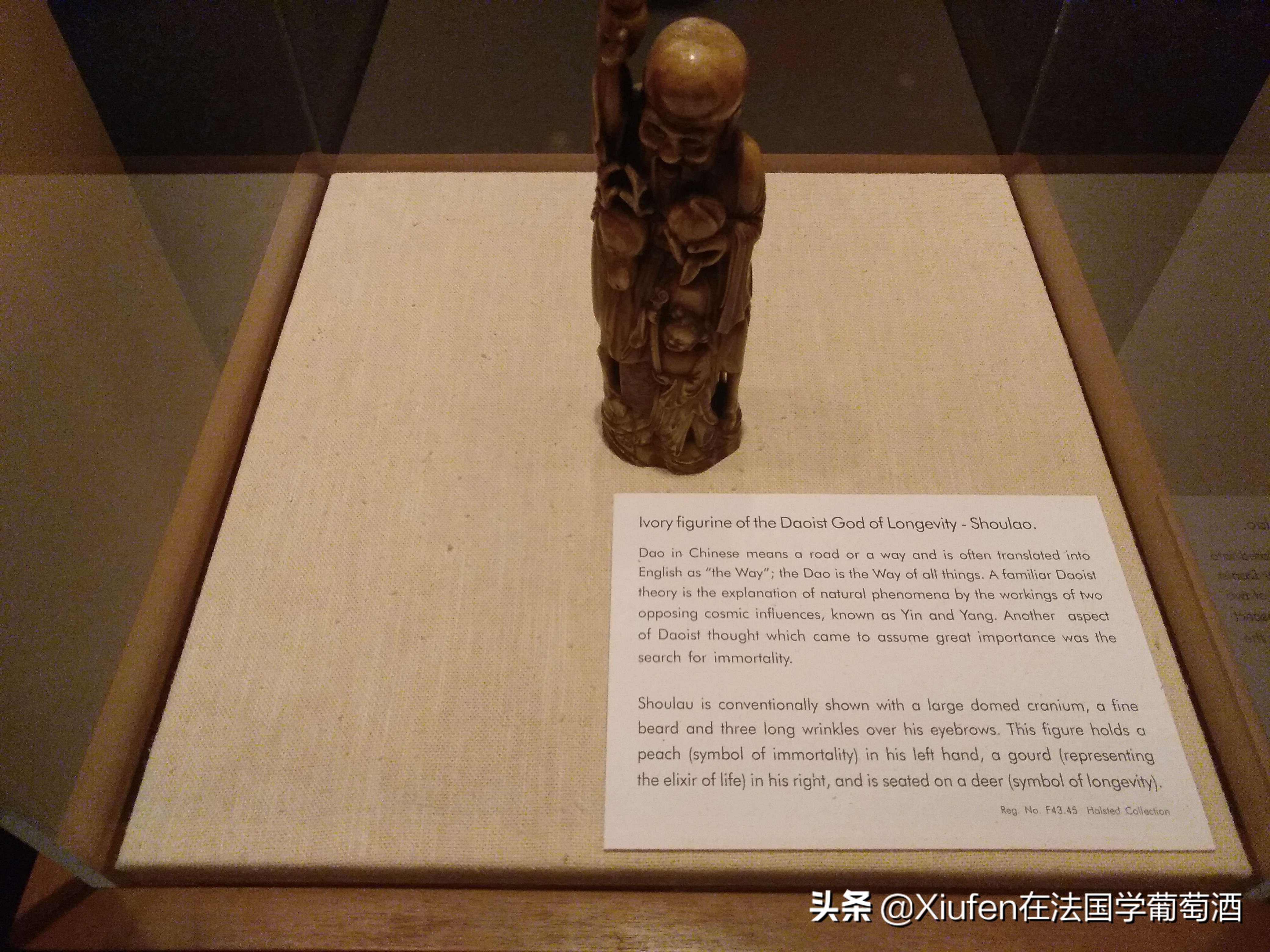 我到过的那些世界非著名城市之新西兰但尼丁DunedinNZ