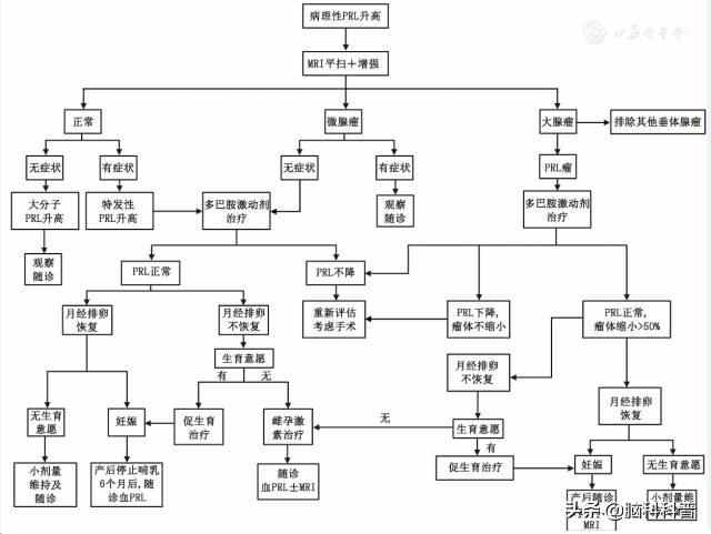 中国垂体催乳素腺瘤诊治共识,中国高催乳素血症