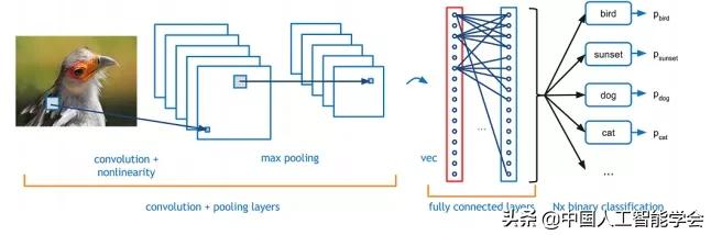 CAAIAIDL第八期演讲实录丨洪宇：信息抽取的常识与前沿