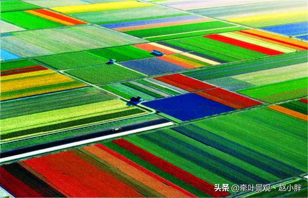 踏春寻美景,踏春赏花梯田漫步