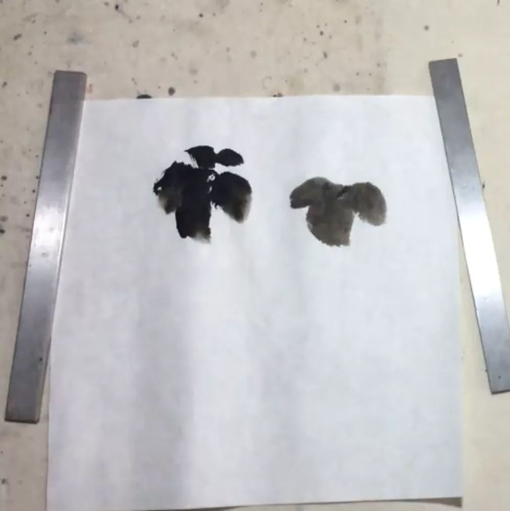 写意菊花画法图片,菊花国画写意画法视频