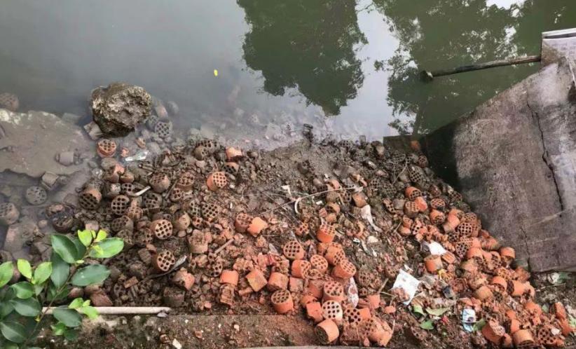 煤渣种花有什么好处,煤渣养花有营养