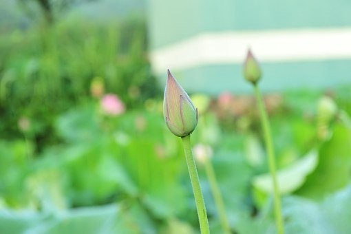 如何判断一个男人是否厌恶你,如何区分男人是否真心爱