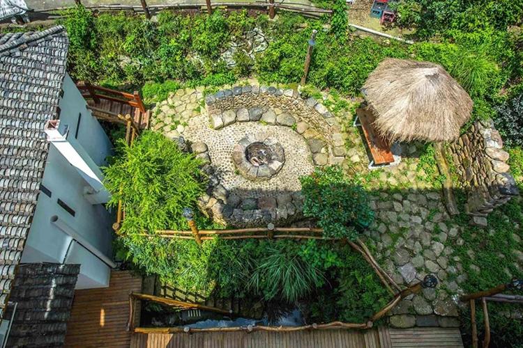 清晨走进森林氧吧呼吸新鲜空气,一起去森林氧吧洗肺