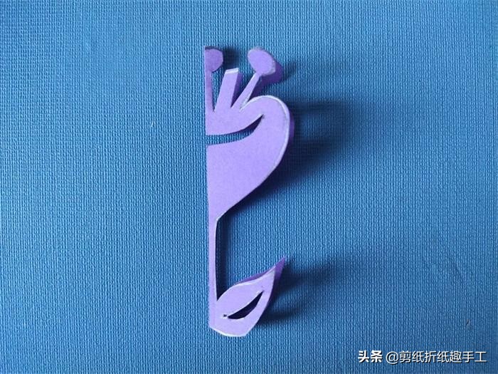 各种色调的郁金香有哪些寓意,紫色的郁金香高贵优雅的象征