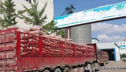 2022花生油厂收购价,今日全国各大花生油厂最新价格