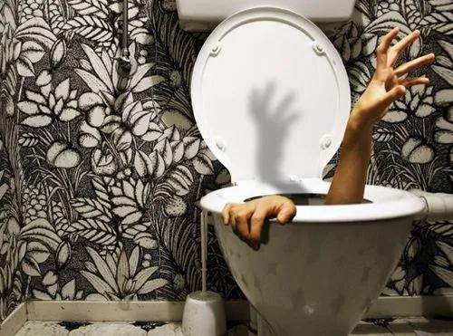 千年屎记:中国古人的如厕进化简史