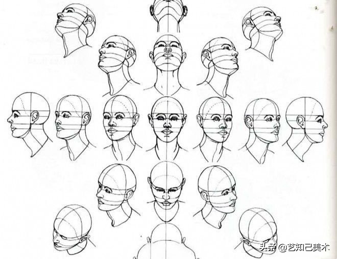 速写简单入门头部,速写头低不下去