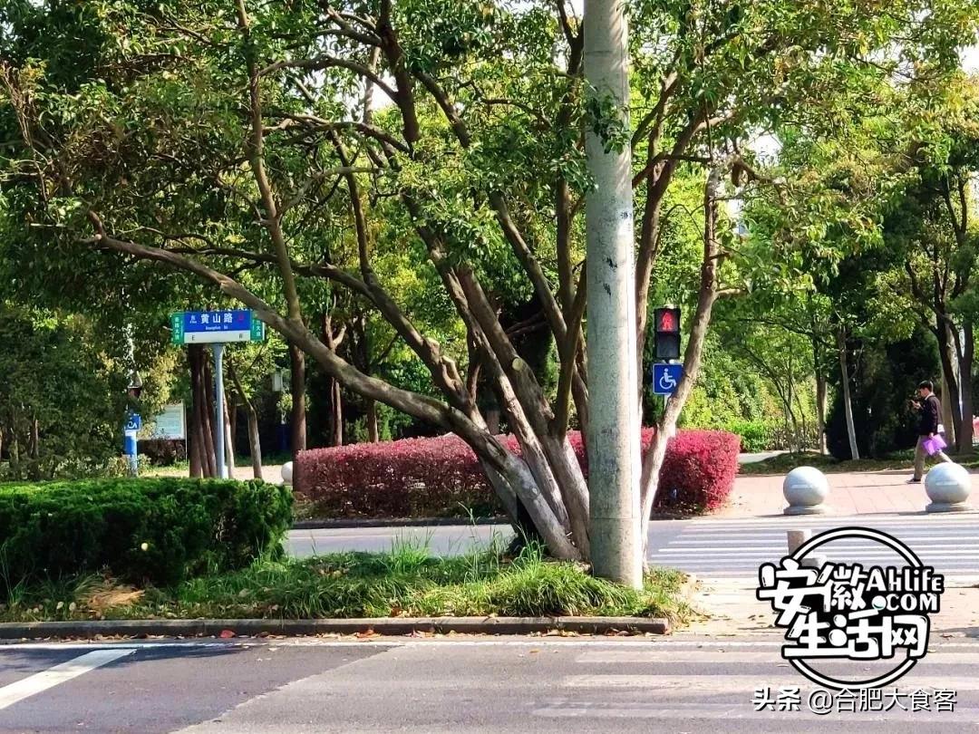 2020年，在这50个地方遇见不一样的合肥