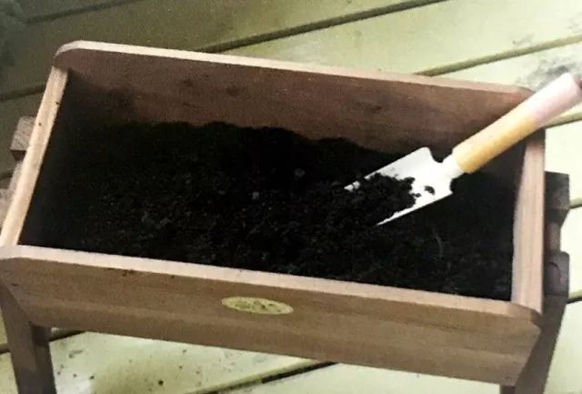 怎么在地里种秋葵,秋葵怎么种植在阳台上