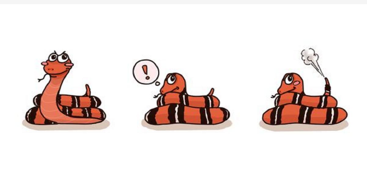 黑龙江省女子与蛇相处15年,黑龙江一女子与蛇共处十几年