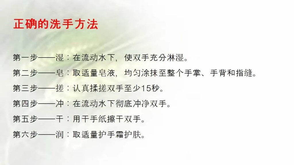 课件-陪护人员医院感染知识培训