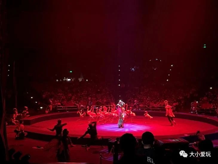 黄金周不用做攻略，这个海洋+科技的超大主题乐园，全家人都尽兴