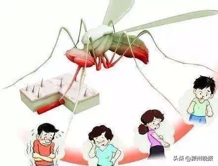 阜阳疾控最新提醒,阜阳市疾控中心官网