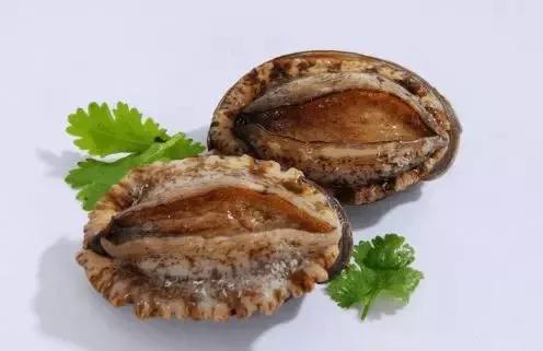 世界顶级鲍鱼菜图片,世界鲍鱼体型十大排行榜