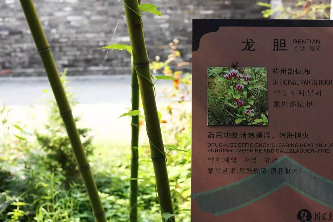 吴鞠通中医馆还看病吗,吴鞠通中医研究院看不孕怎么样