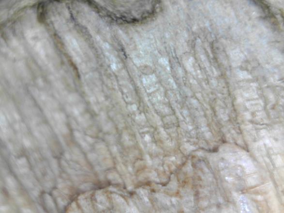 接触奇楠香时的个人感受