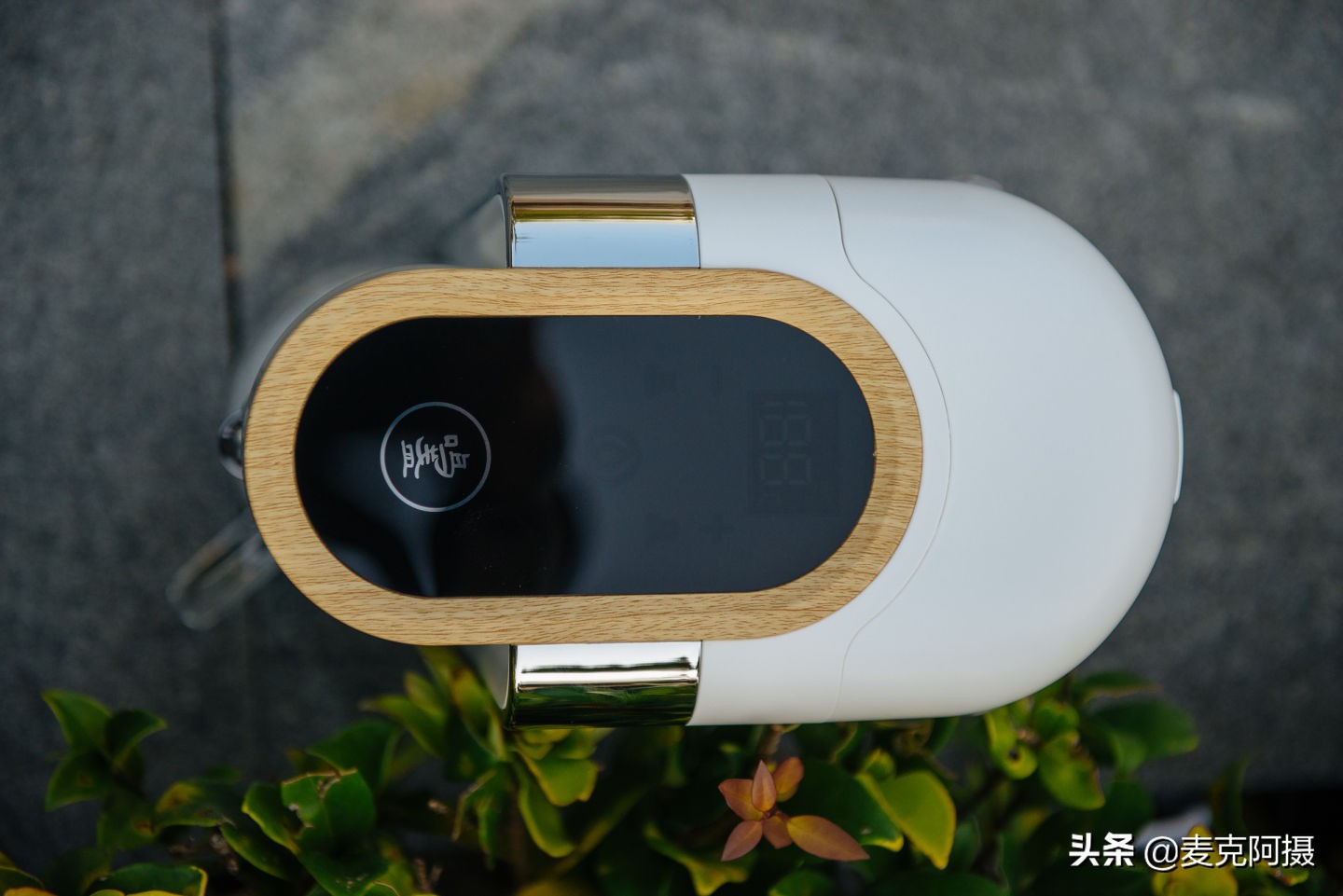 泡茶也要自动化——我的鸣盏即热式茶饮机使用笔记