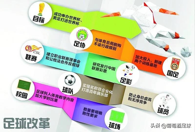 郎平自强不息的故事,郎平我负主要责任该休息了