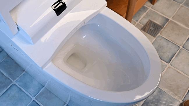 保卫菊花，从马桶做起——水鹿大鲸一体自动马桶使用感受