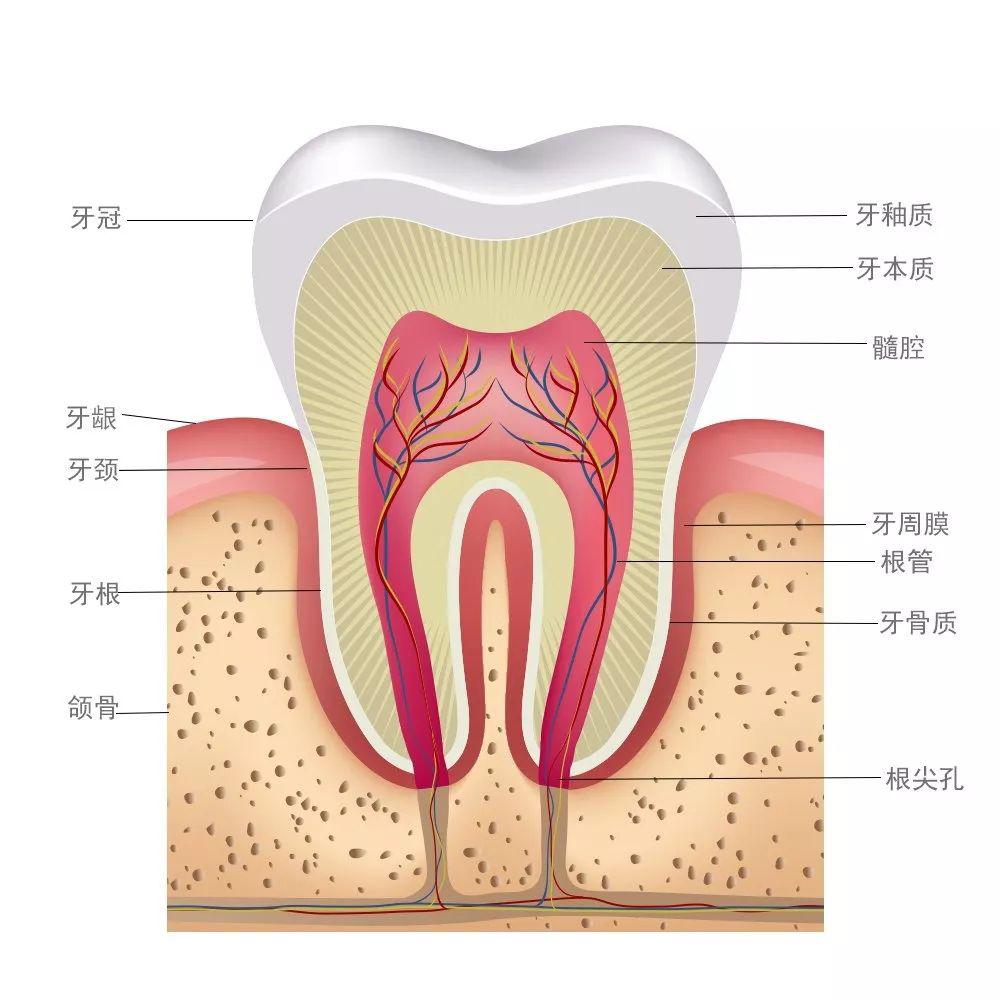 大连口腔医院颌面外科专家,怎么快速治疗牙齿敏感怕冷怕热