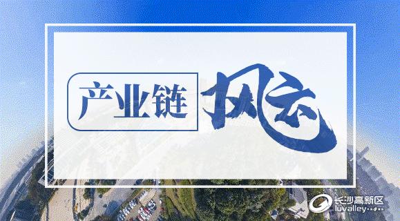 汉斯长沙高新区,高新区汉斯