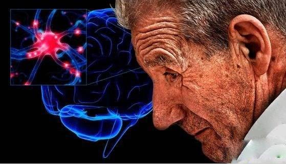 香港美女生物学家：破译人体大脑密码，让老年痴呆症治疗成为可能