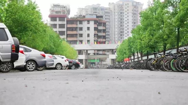 梅州最好的中学排名,梅州最美的学校