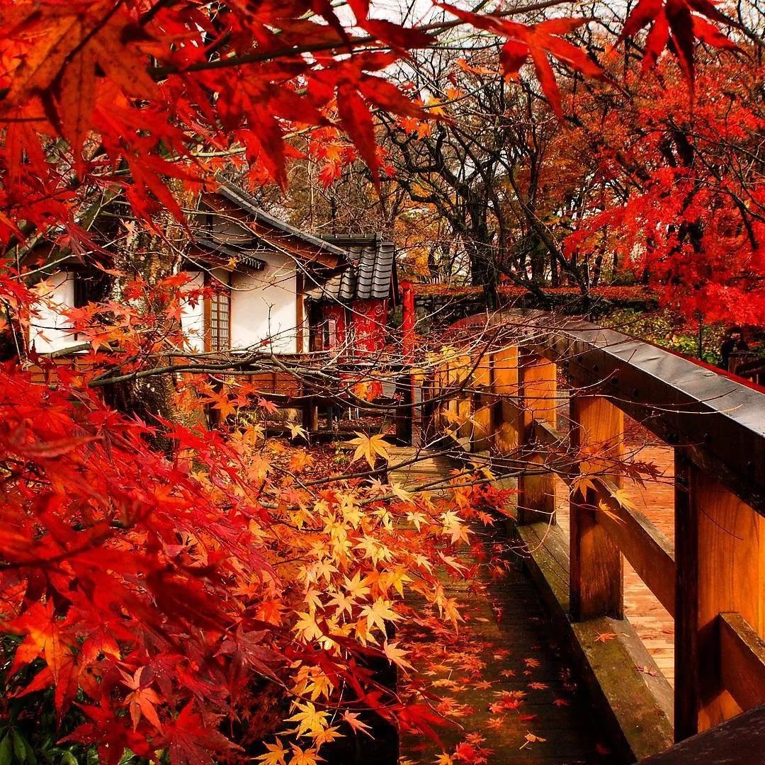 日本长野县旅行,日本长野赏樱旅游攻略