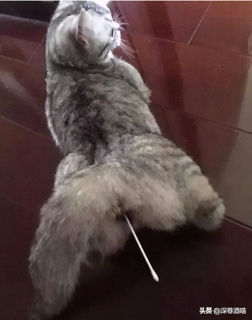 鍘荤埅鎵嬫湳瀵圭尗鏈夊澶х殑浼ゅ,妫夌澶ф硶鍚庡彲浠ョ粷鑲插悧