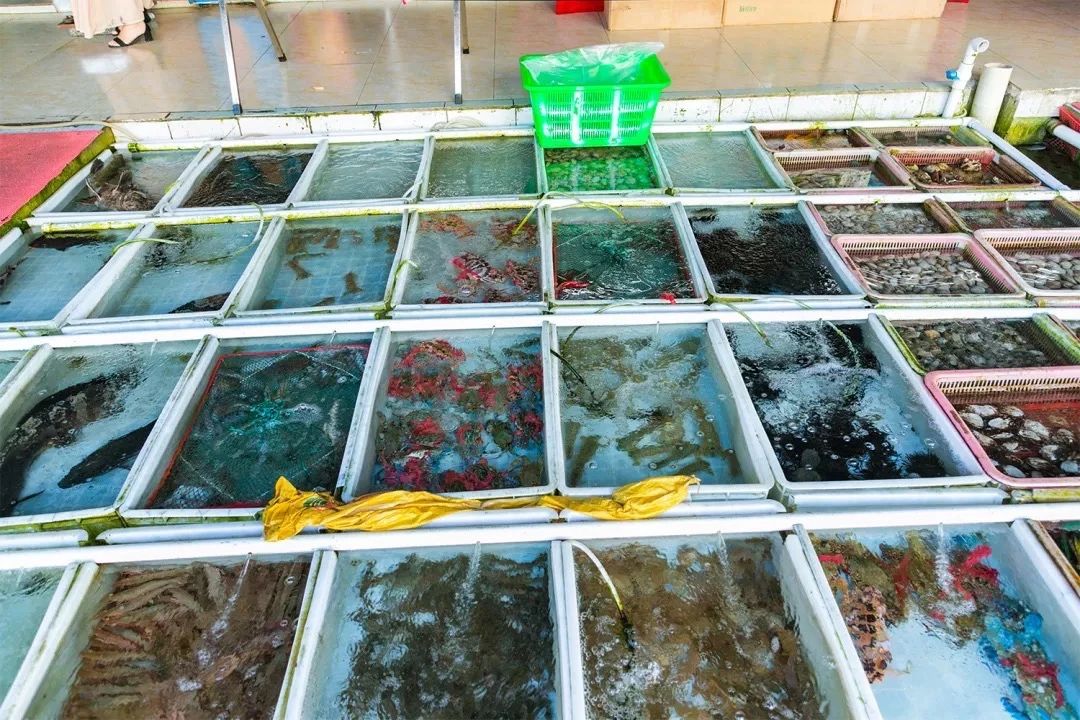 深圳10大旅游好去处,深圳盐田区周末休闲浪漫好去处