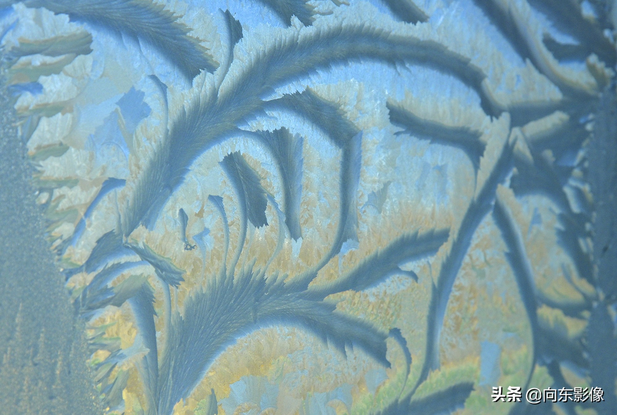 尼康z7一代高感,尼康z7ii4k60p是超采样吗