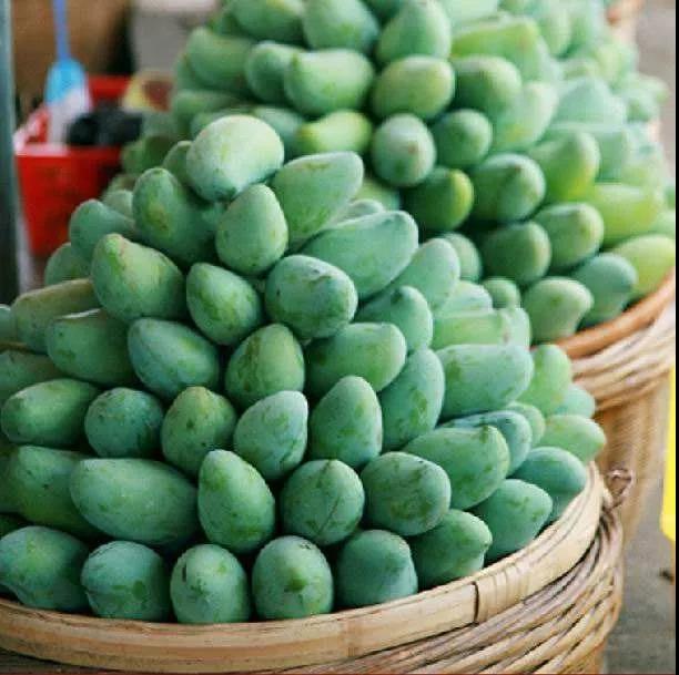 桂七香芒乃芒果之首,桂七香芒和凯特芒果哪个好吃