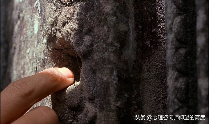 最好的树洞是什么,生活中的树洞是什么