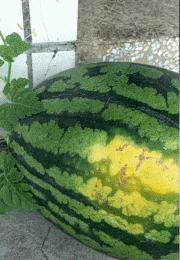 只能亮度调亮才能看得懂的梗,调高亮度才能看懂的梗