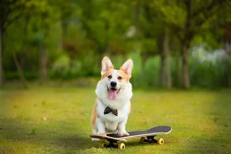 6种常用的构图法,掌握7种构图技巧
