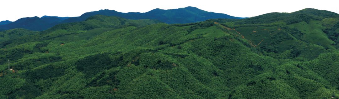 宁波周边40条登山步道古道推荐,宁波江北荪湖登山步道视频