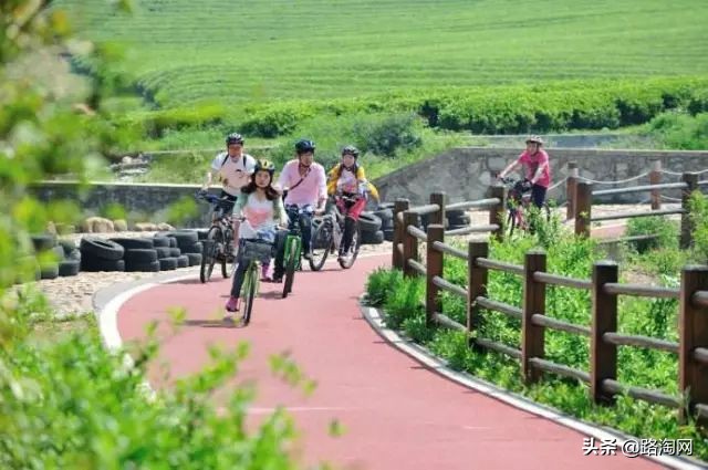 五一小长假结束再看一波各地美景,五一小长假去哪登山踏青看花好