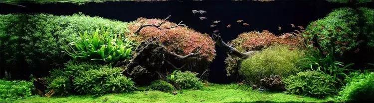 家装室内水系造景设计,家居鱼池假山布局