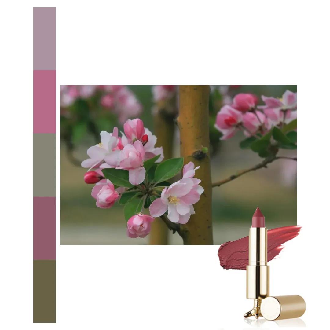 鐩存挱閭兏娌冲寳宸ョ▼澶у,娌冲寳宸ョ▼澶у缇庡