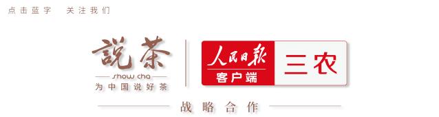 铁观音茶如何区分浓香型和清香型,新茶浓香型铁观音怎样冲泡口感好