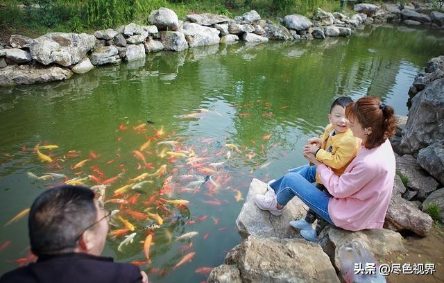 句容哪个地方猪头肉好吃,句容哪家猪头肉最好吃
